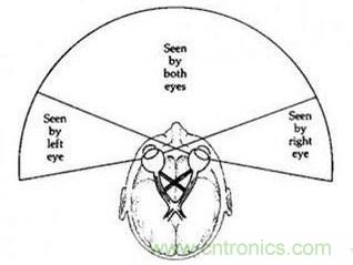 雙目重疊技術(shù)在VR中有什么作用？