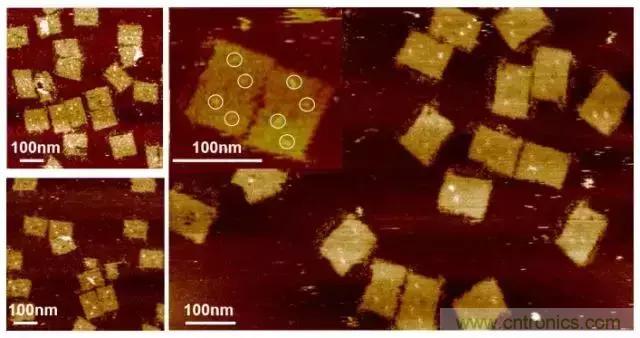 中美科學(xué)家聯(lián)手，用DNA納米機器人殺死癌細(xì)胞