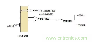 仿生傳感器的定義、原理、分類及應(yīng)用